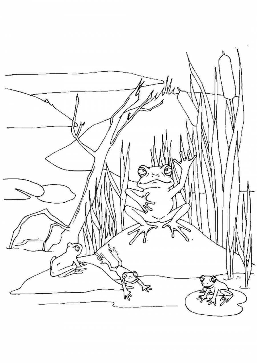 Раскраска по сказке Царевна лягушка