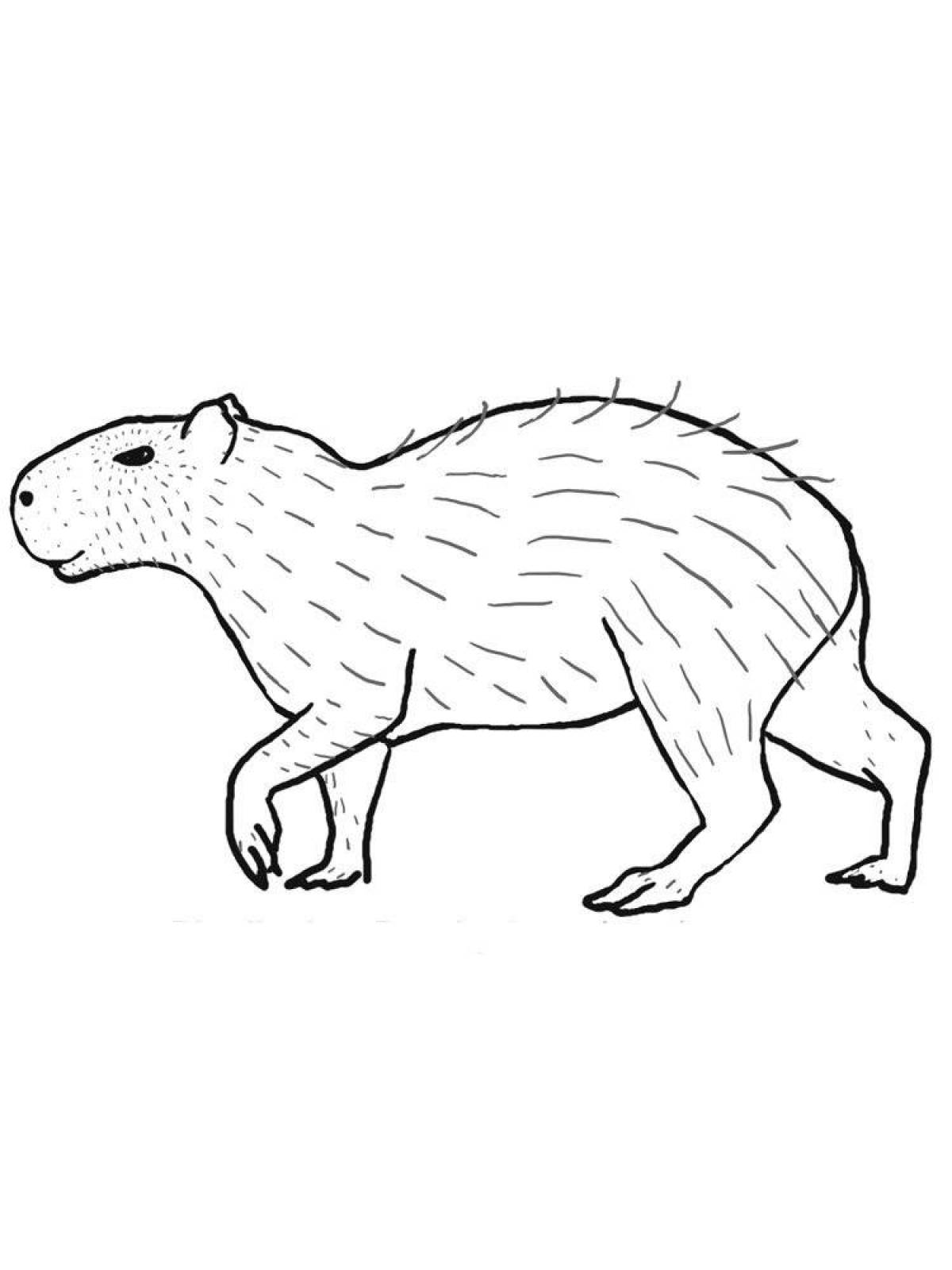 Рисунки капибары
