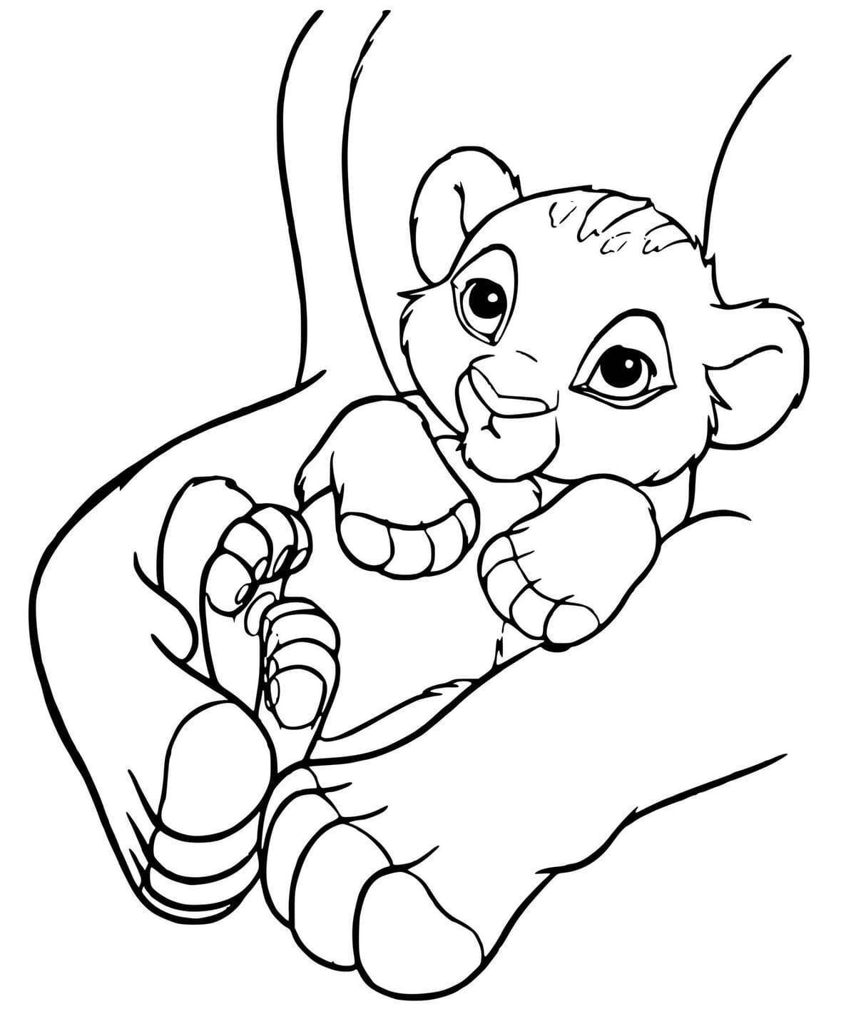 Glorious lion king coloring book