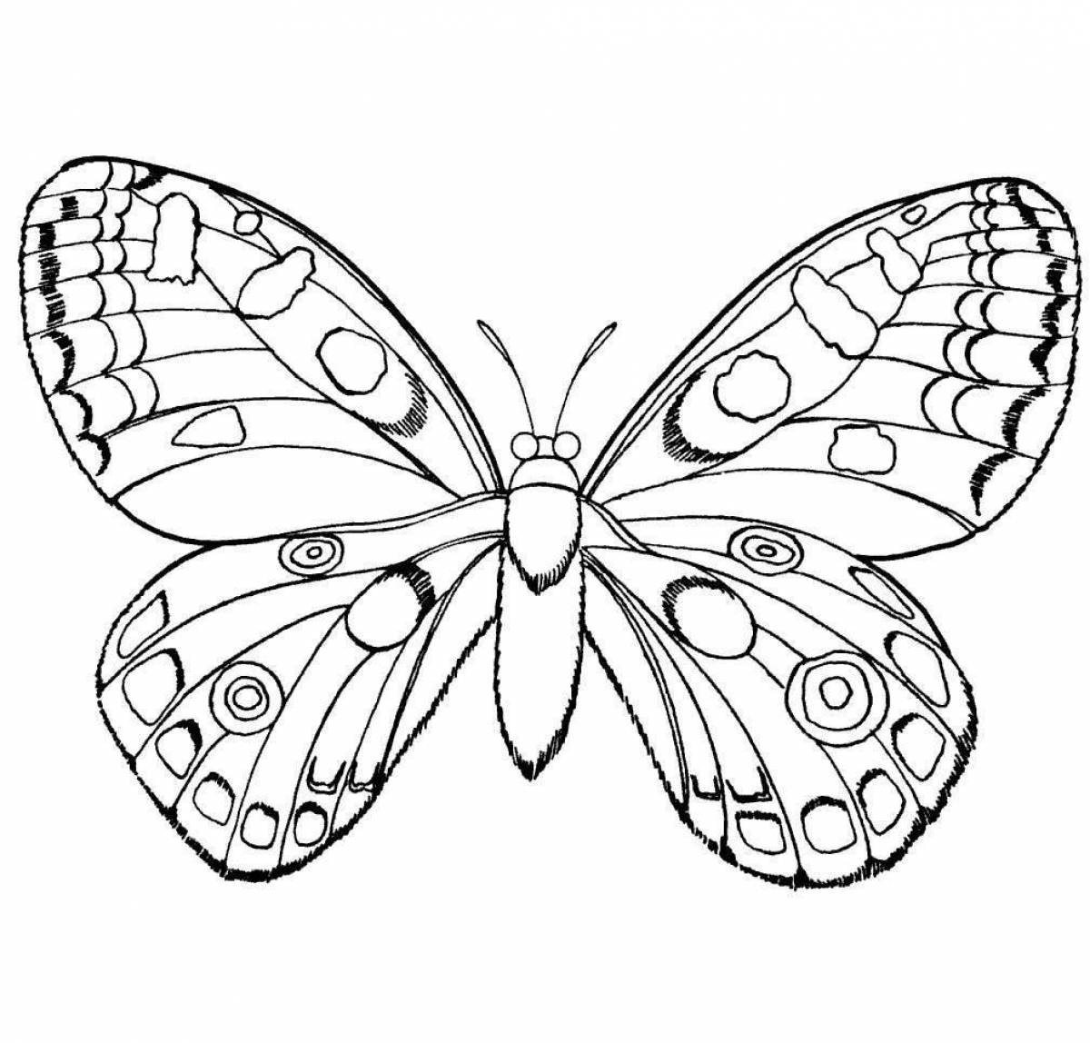 Большая бабочка раскраски для детей