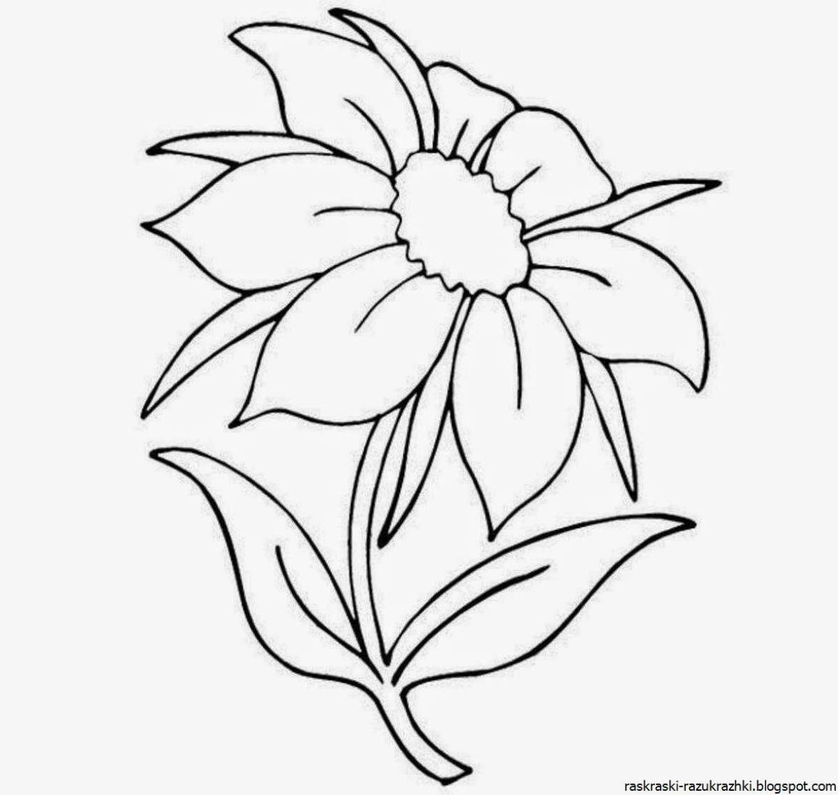 Refreshing flower coloring for kids