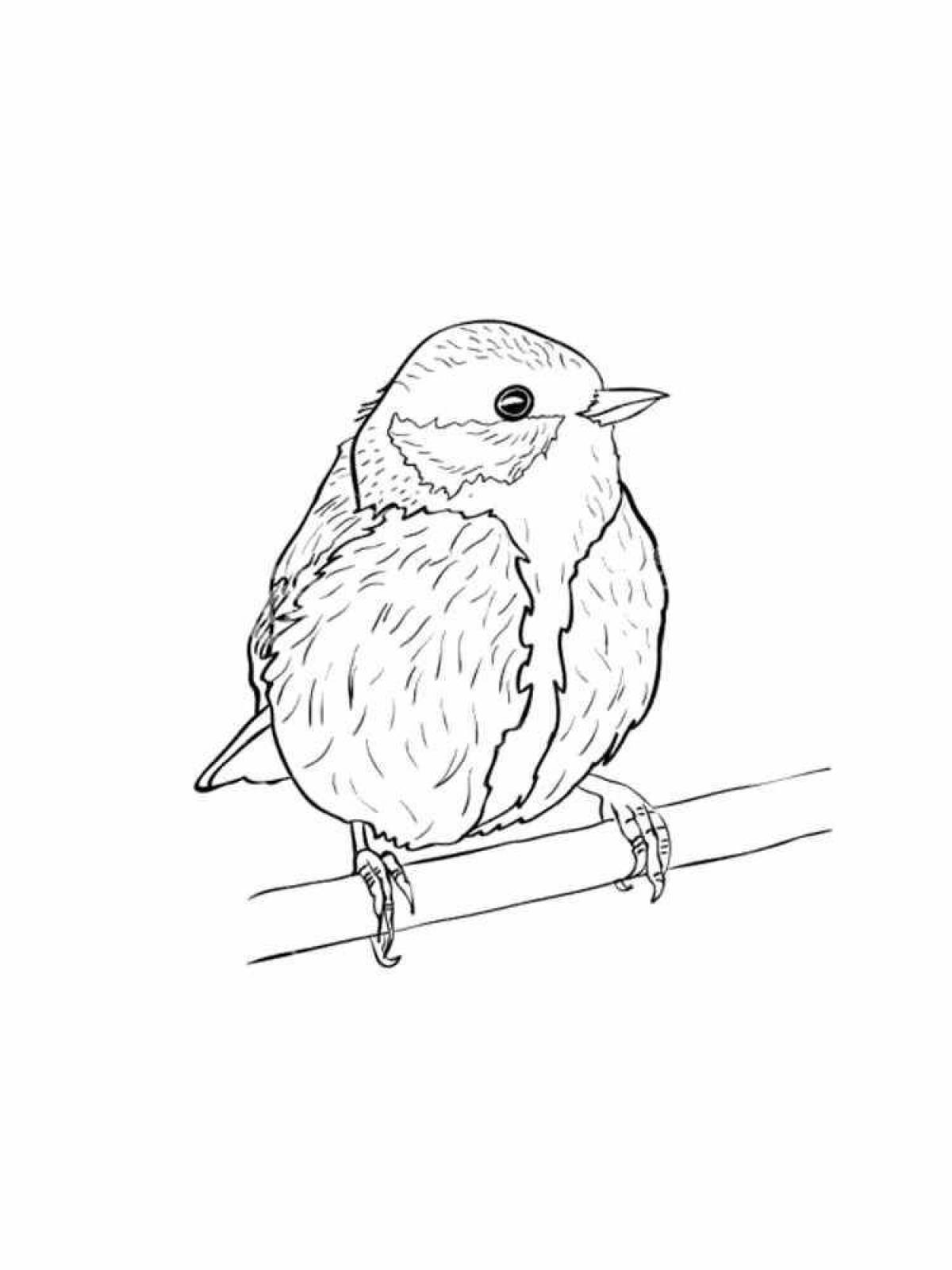 Funny tit coloring