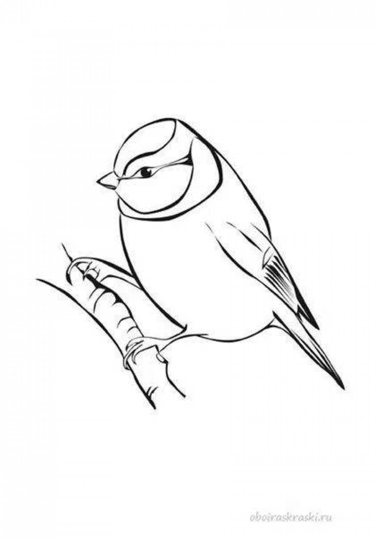 Color-frenzy titmouse coloring page