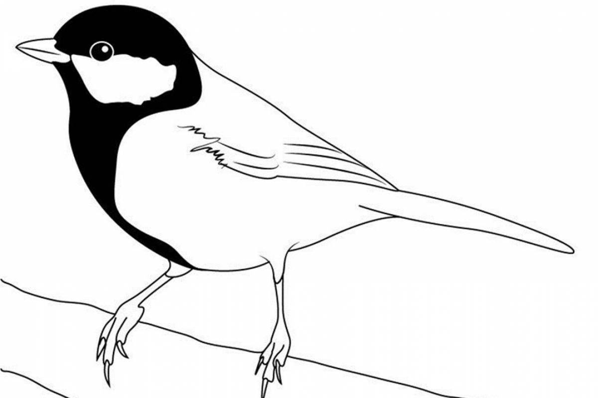 Colored wild tit coloring page