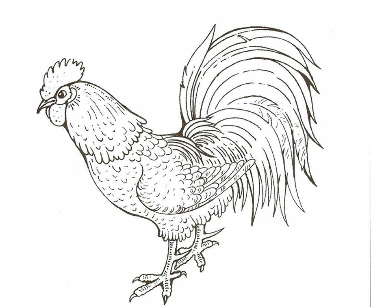 Coloring live rooster