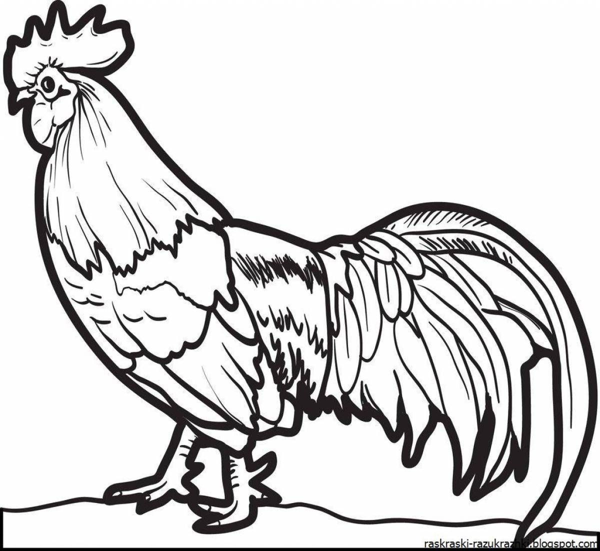 Coloring page cheeky rooster