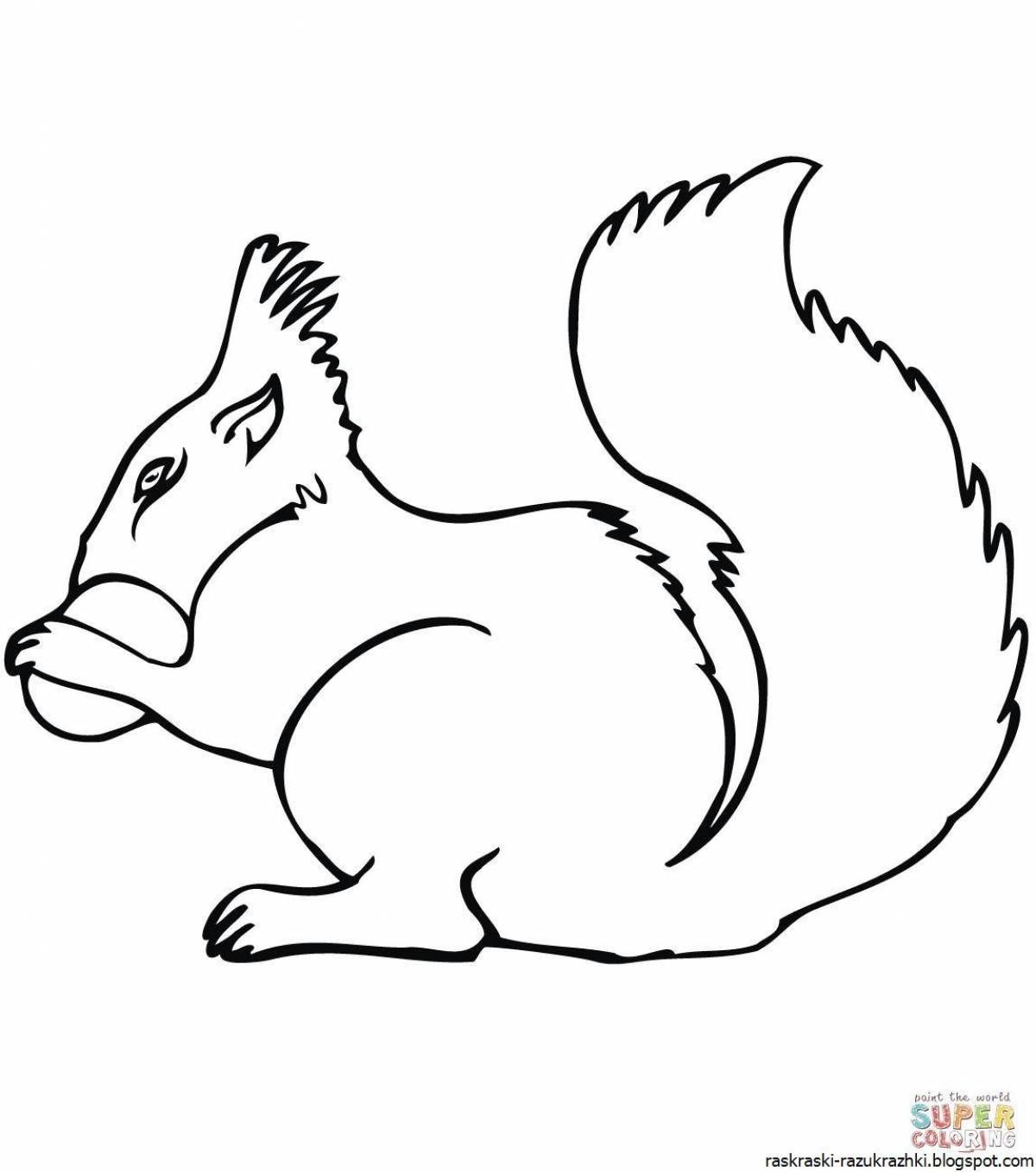 Fun squirrel coloring book for kids