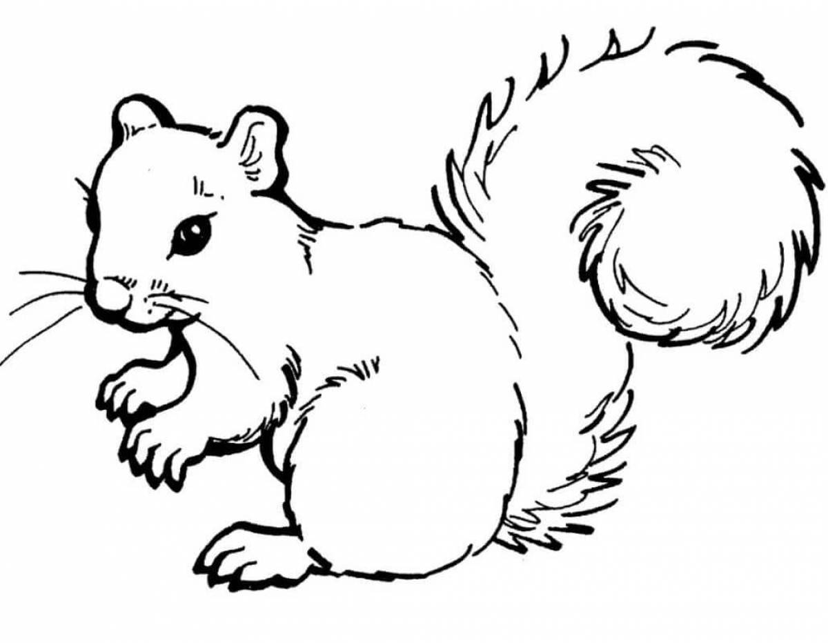 Tempting squirrel coloring book for kids