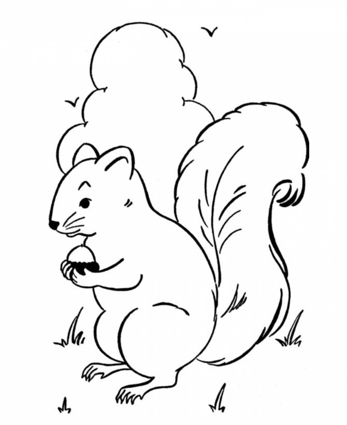 Cute squirrel coloring book for kids