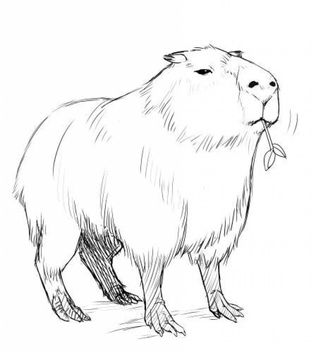 Majestic capybara coloring page