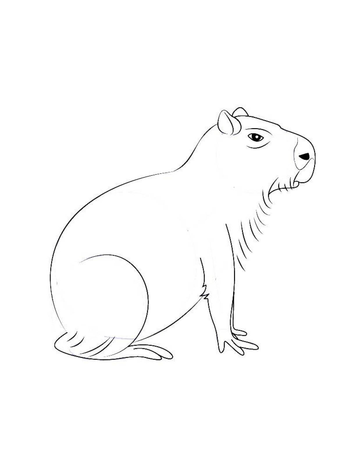 Capybara fun coloring book