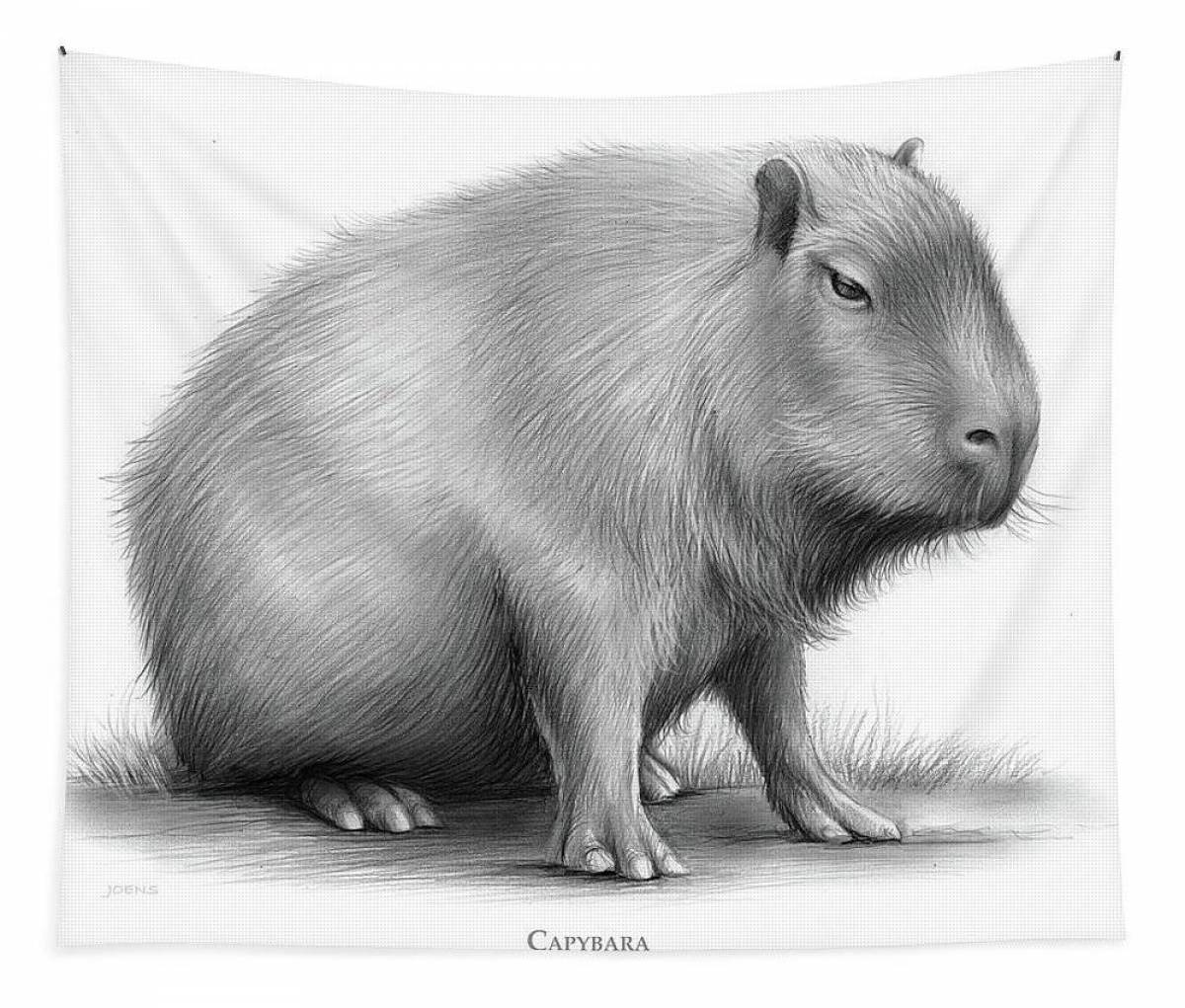 Fun coloring capybara