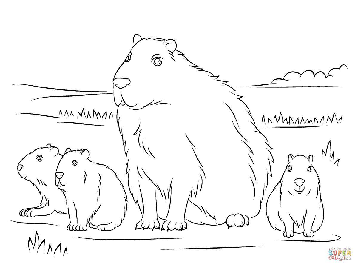 Sparkling capybara coloring page