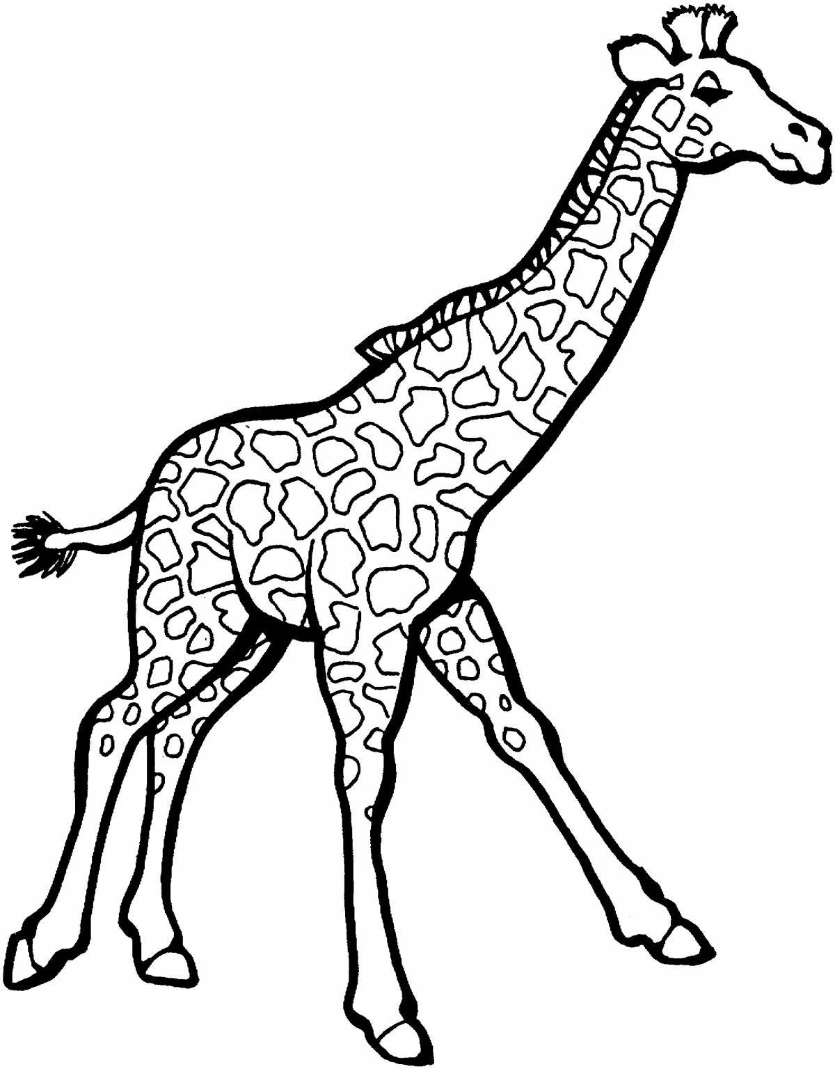 Красочная страница раскраски жирафа для детей