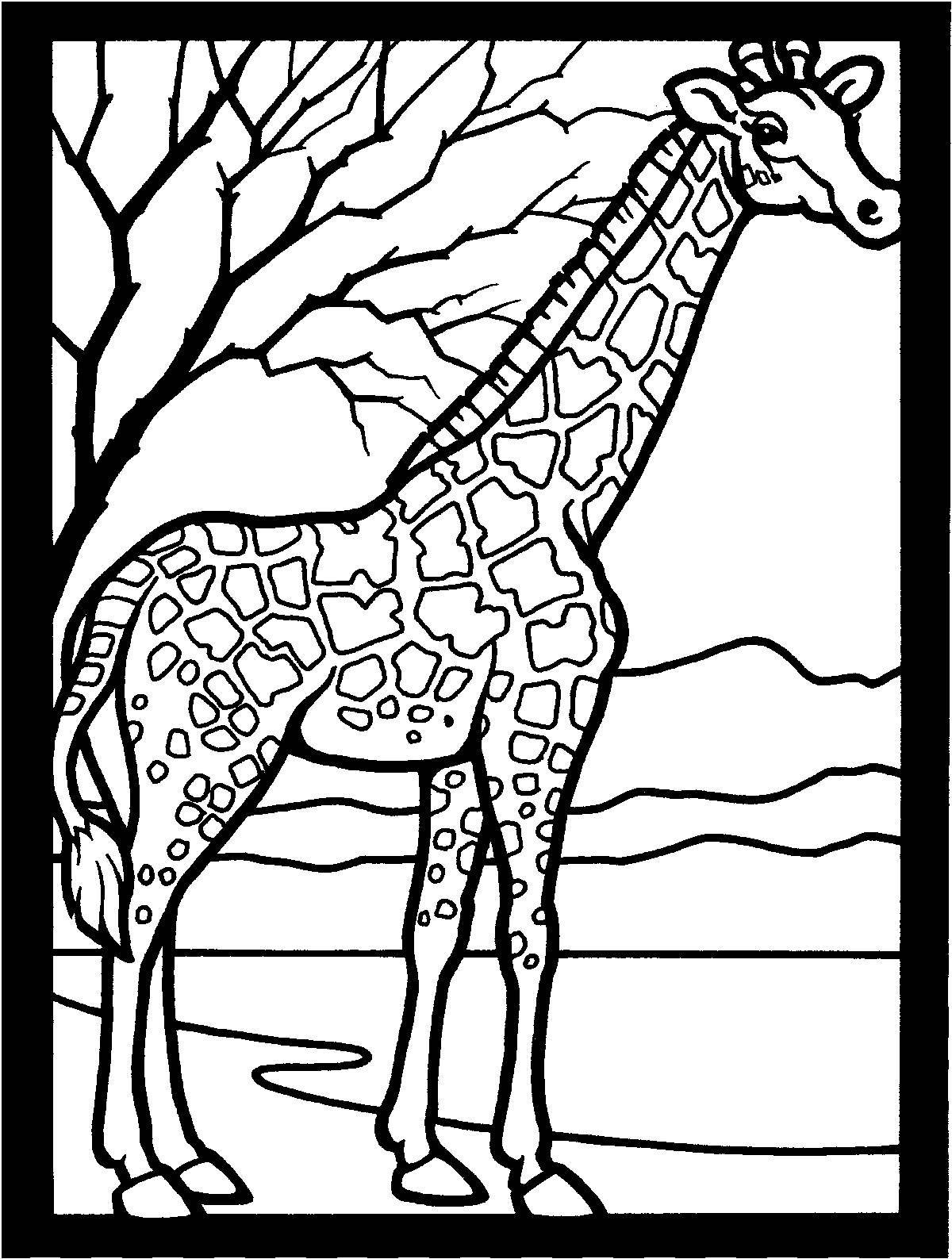 Fun giraffe coloring book for kids