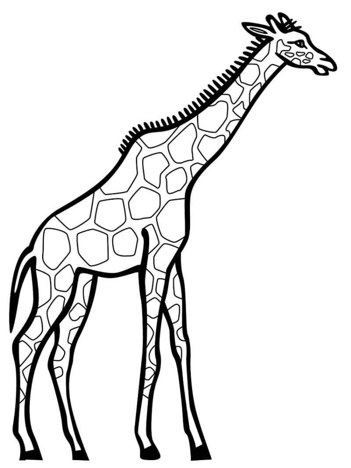 Giraffe for kids #4