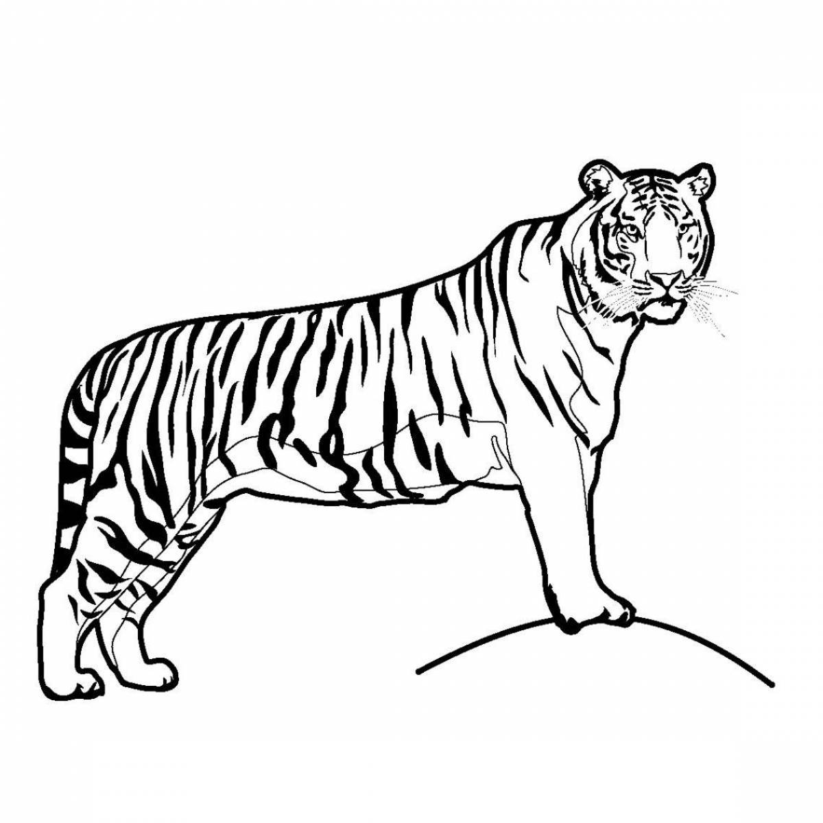 Glorious tiger coloring pages for kids