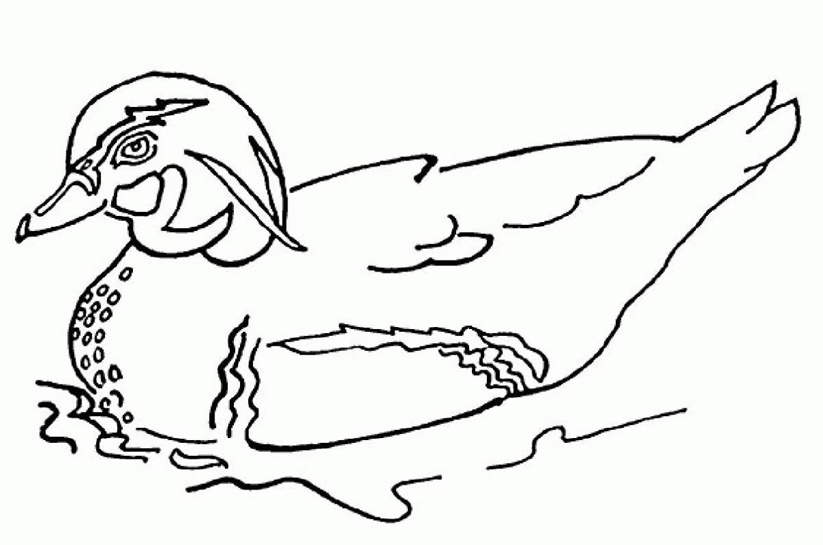 Причудливая утка лалафан раскраска