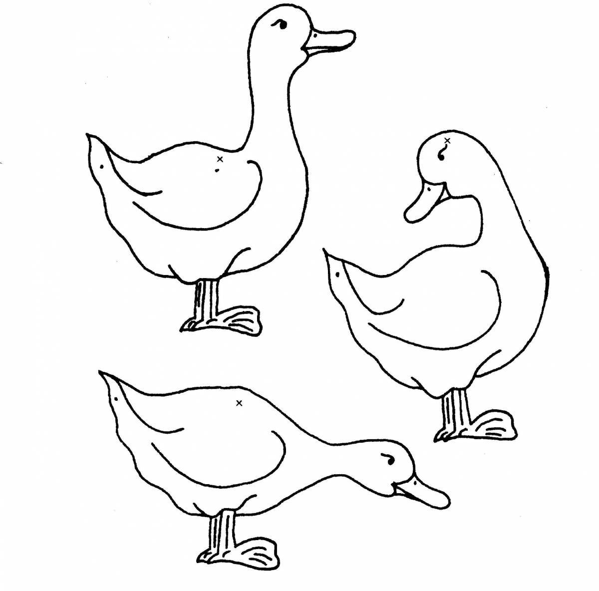 Lalafan cute duck coloring book