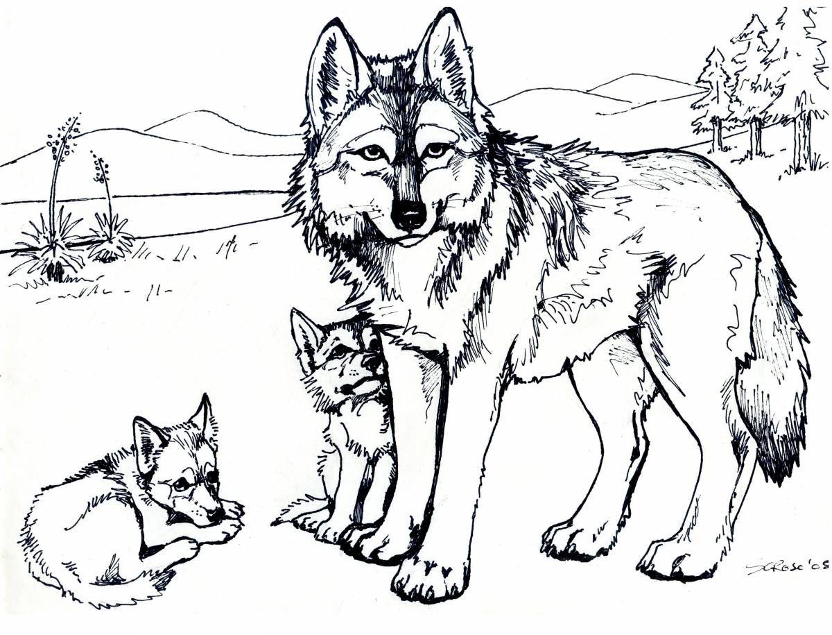 Большая раскраска волк для детей