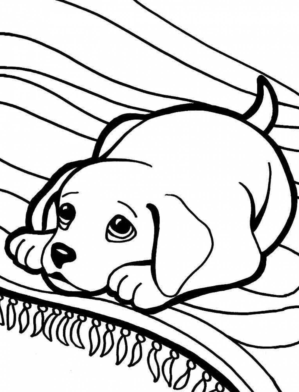 Joyful baby dog ​​coloring book