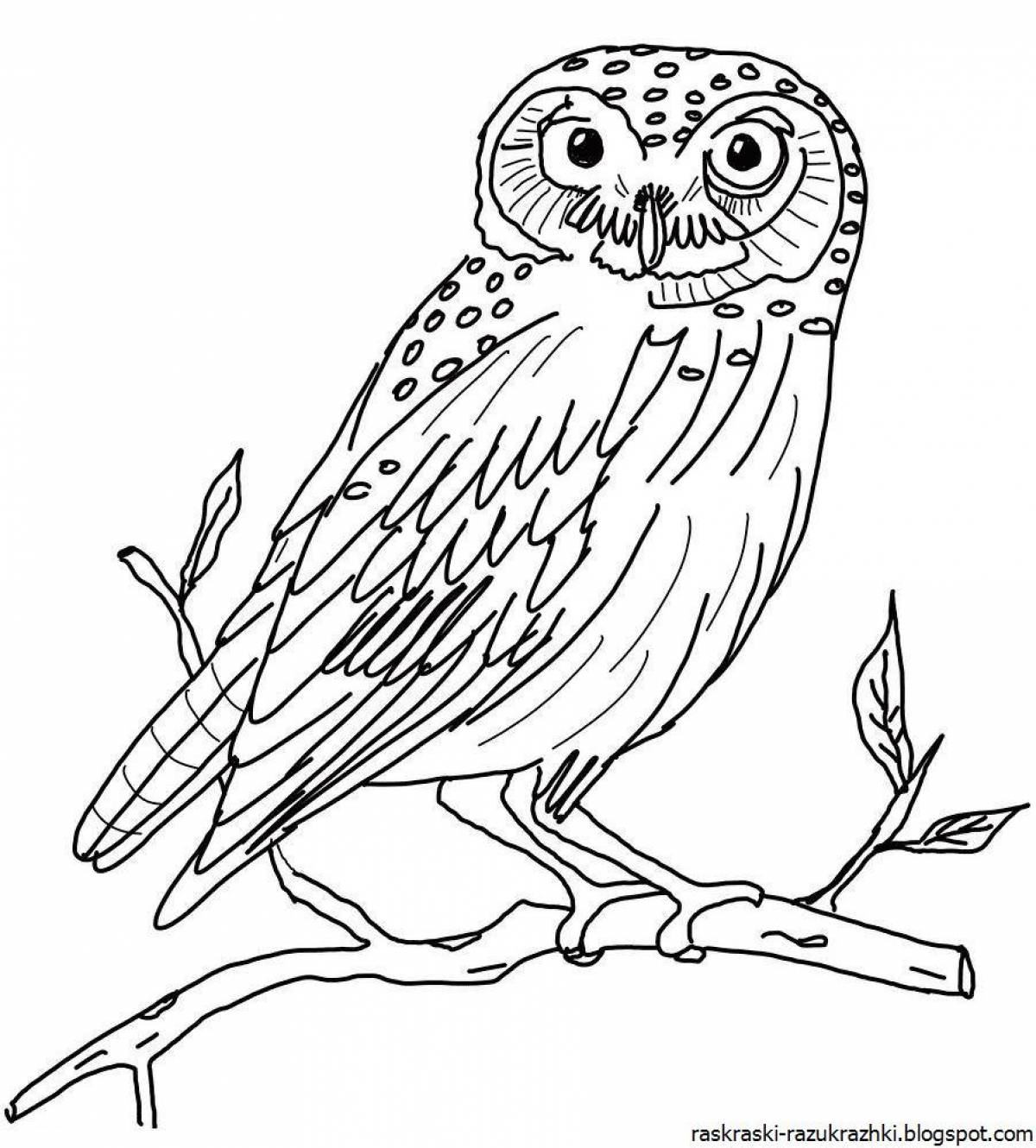 Bright owl coloring book for kids
