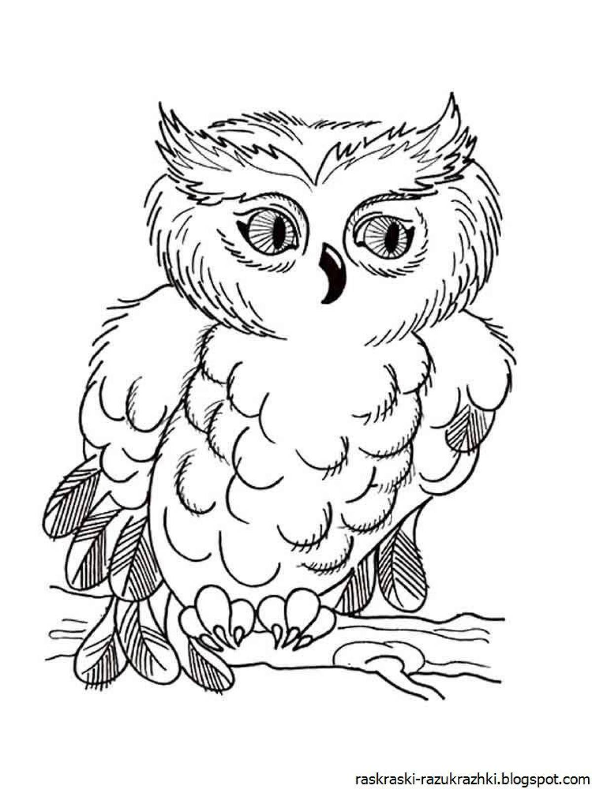 Owl for kids #11