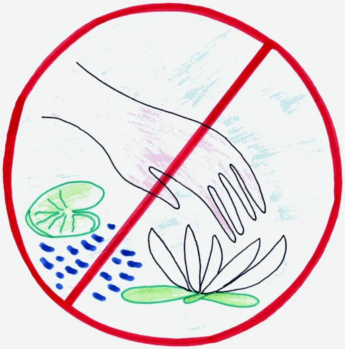Не бережно написано. Рисование экологических знаков. Знаки природы для детей. Плакат берегите растения. Рисунок берегите растения.