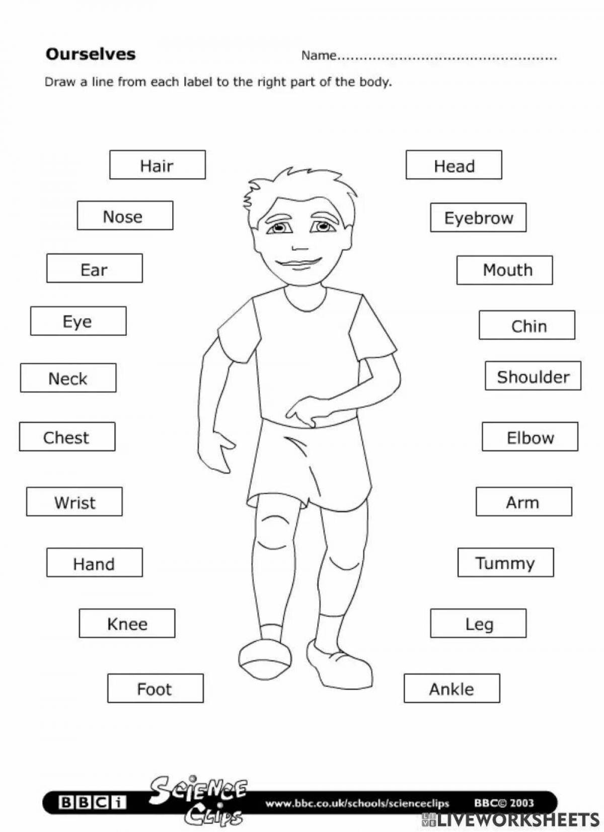 Задание человек для детей. Таблица частей тела на английском языке. Упражнения части тела на английском языке для детей. Части тела на английском для детей задания. Части тела на английском для дошкольников.