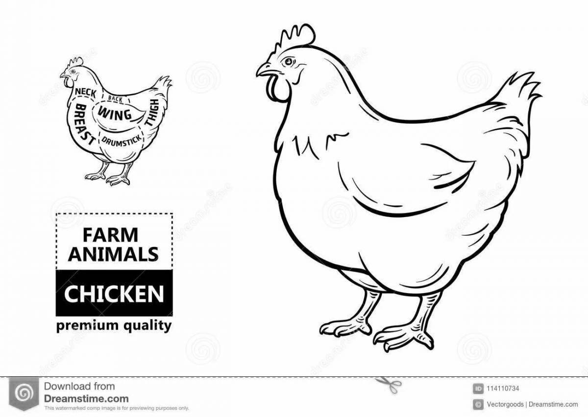 Humorous chicken cannon e coloring book