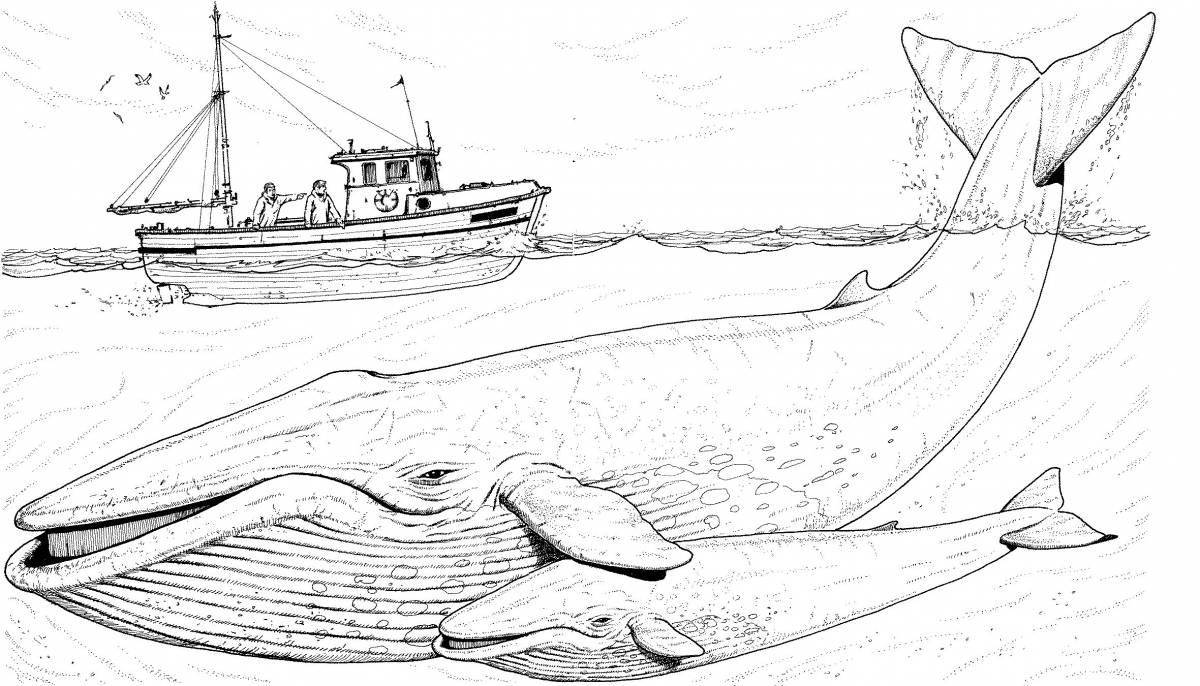 Colourful blue whale coloring book for kids