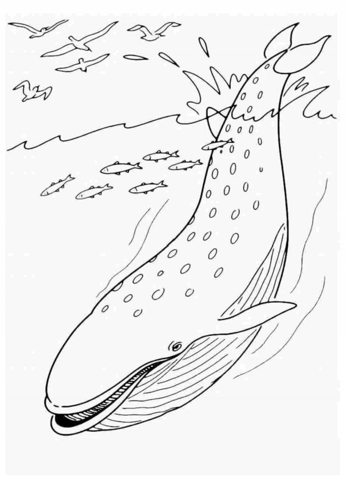 Great blue whale coloring book for kids