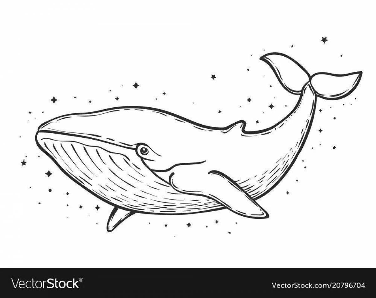 Photo Color-gleeful blue whale coloring page for kids