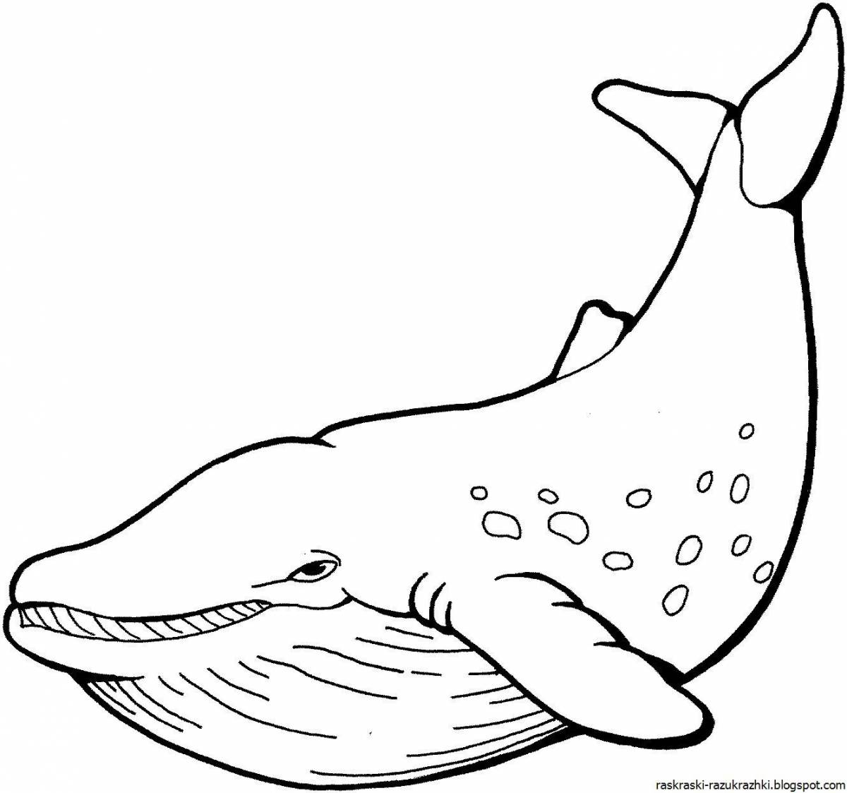 Color-splendid blue whale coloring page for kids