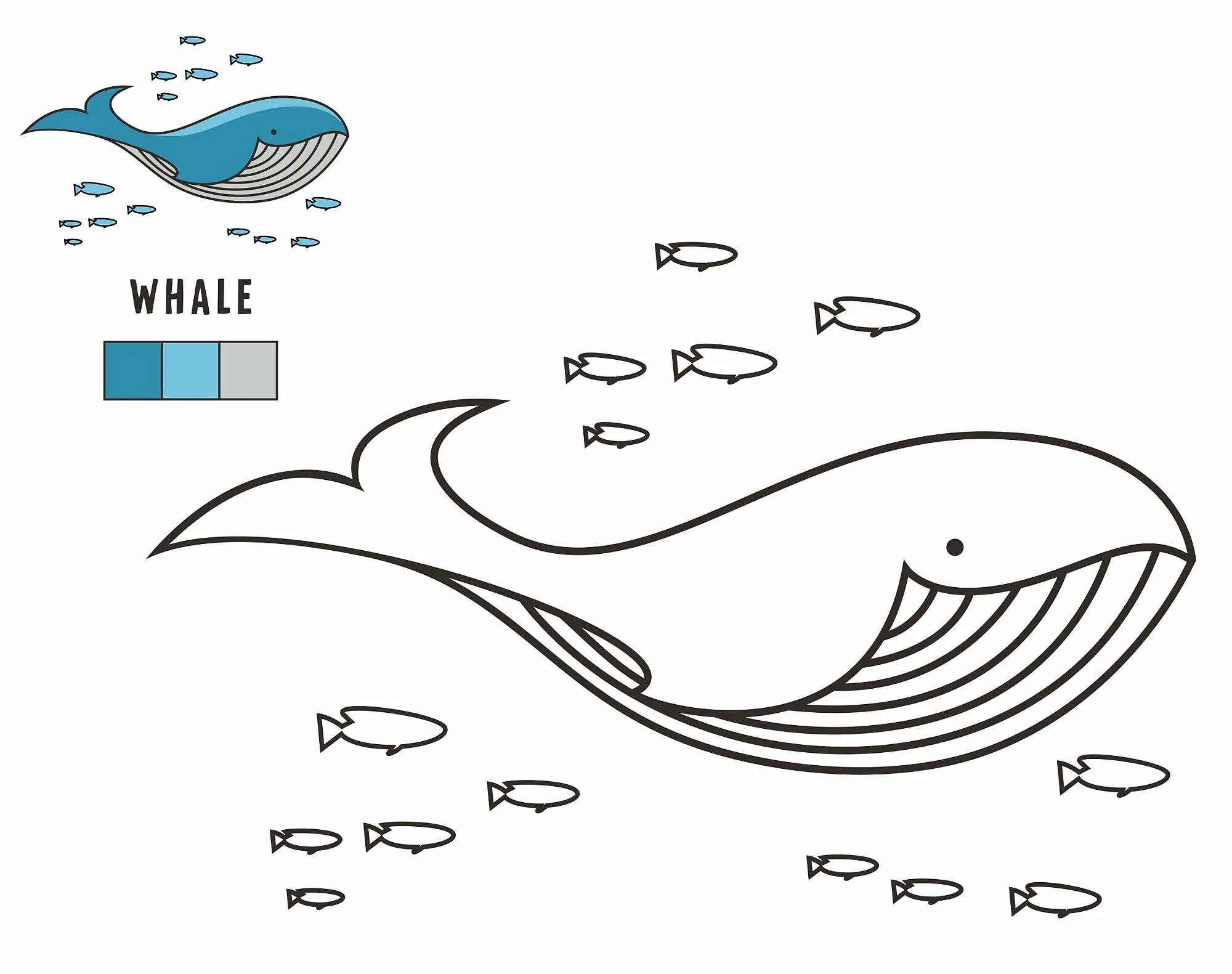 Blue whale for kids #2