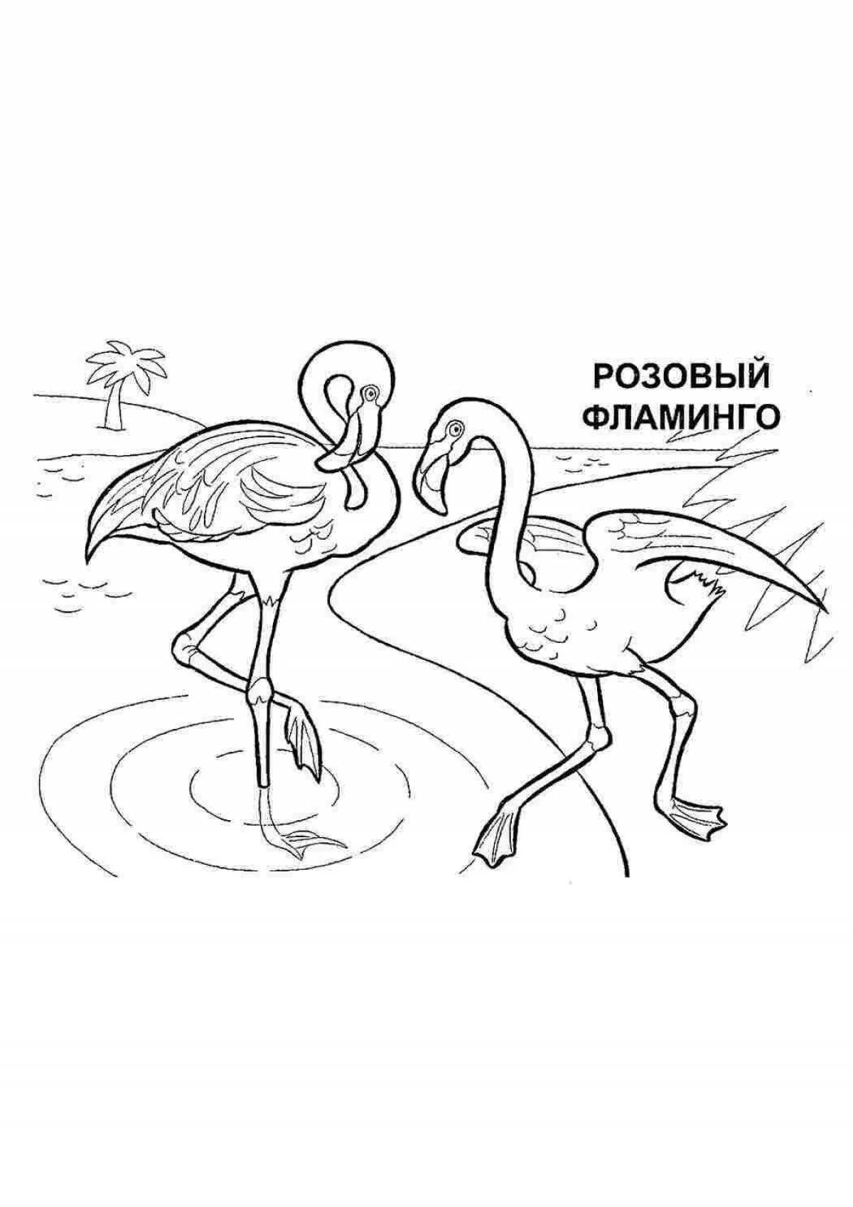 Поразительно красивая обложка красной книги россии