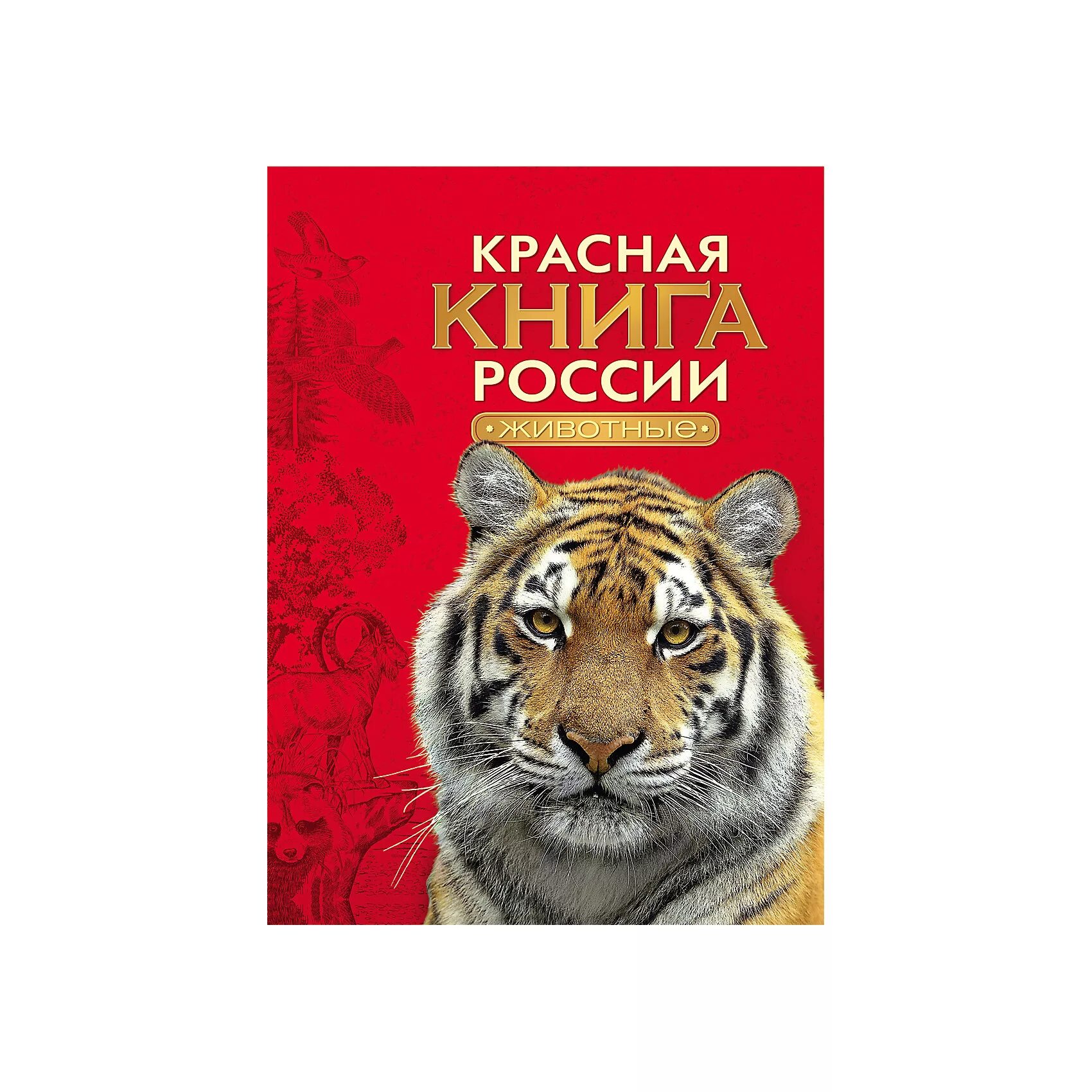 Исключительно красивая обложка красной книги россии