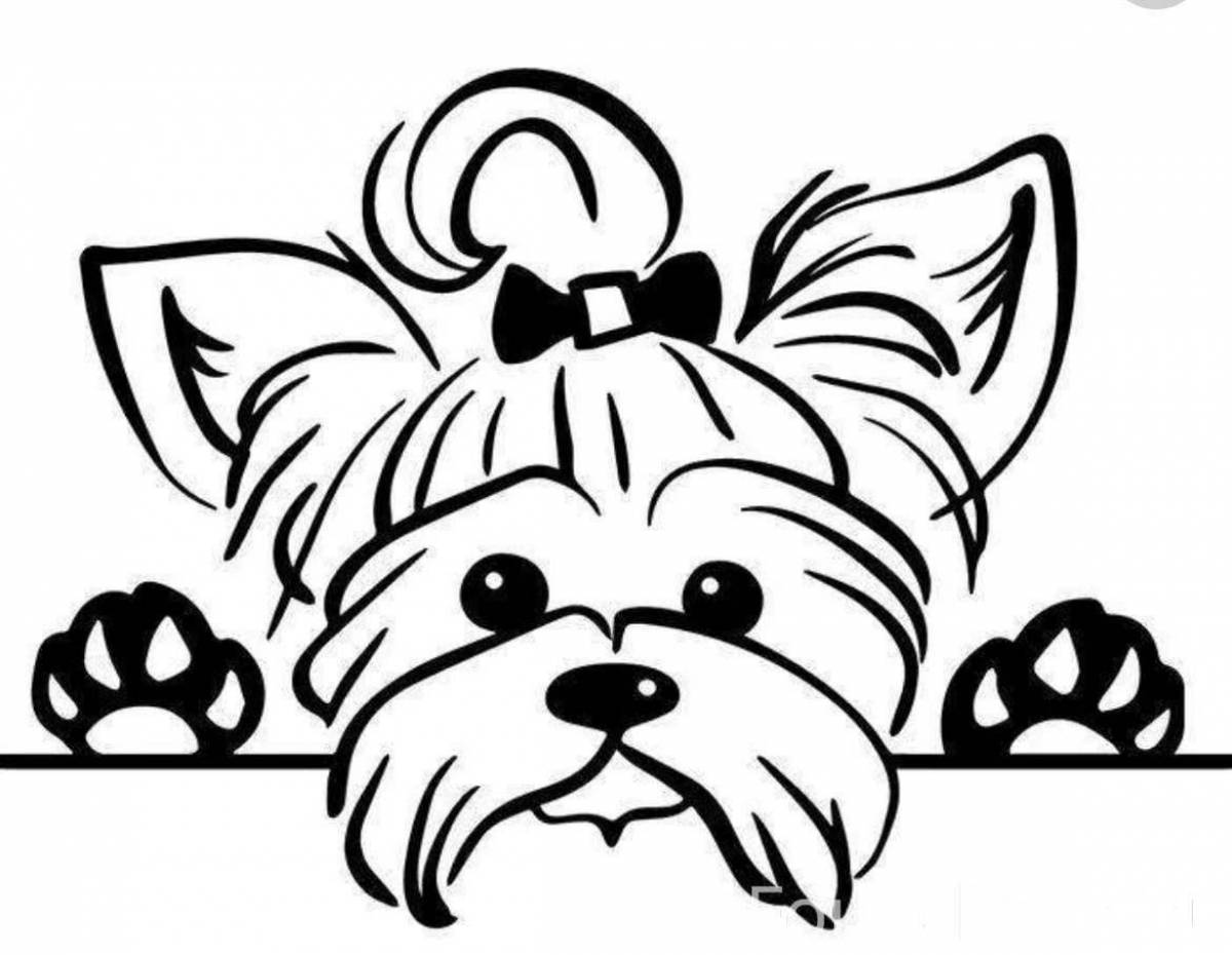 Charming yorkie coloring book for kids
