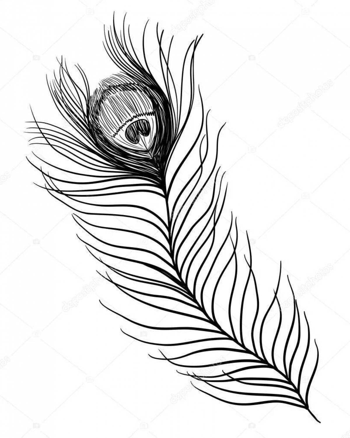 Colorful peacock feather coloring page for kids