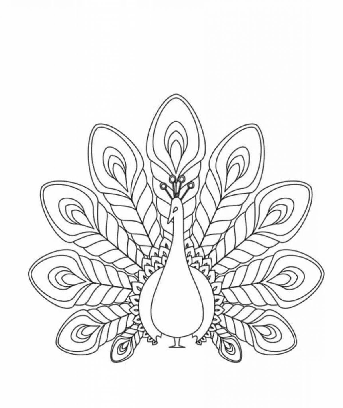 Exquisite peacock feather coloring book for kids