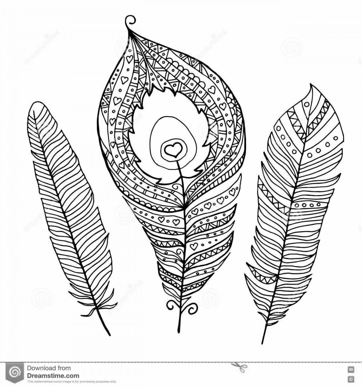 Great peacock feather coloring page for kids