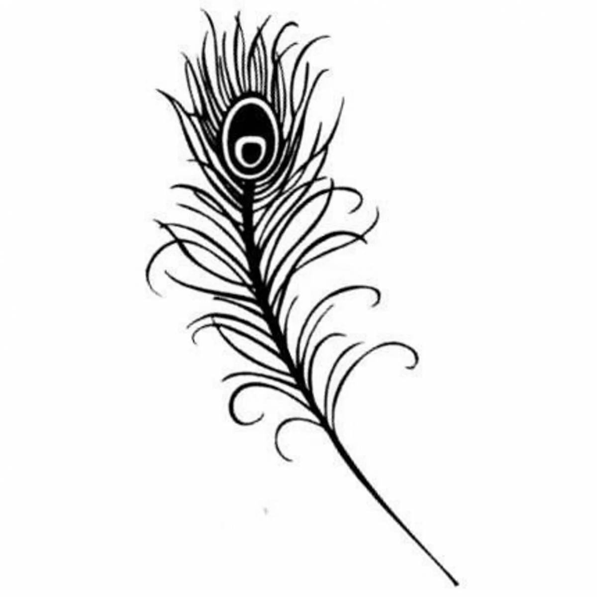 Awesome peacock feather coloring pages for kids