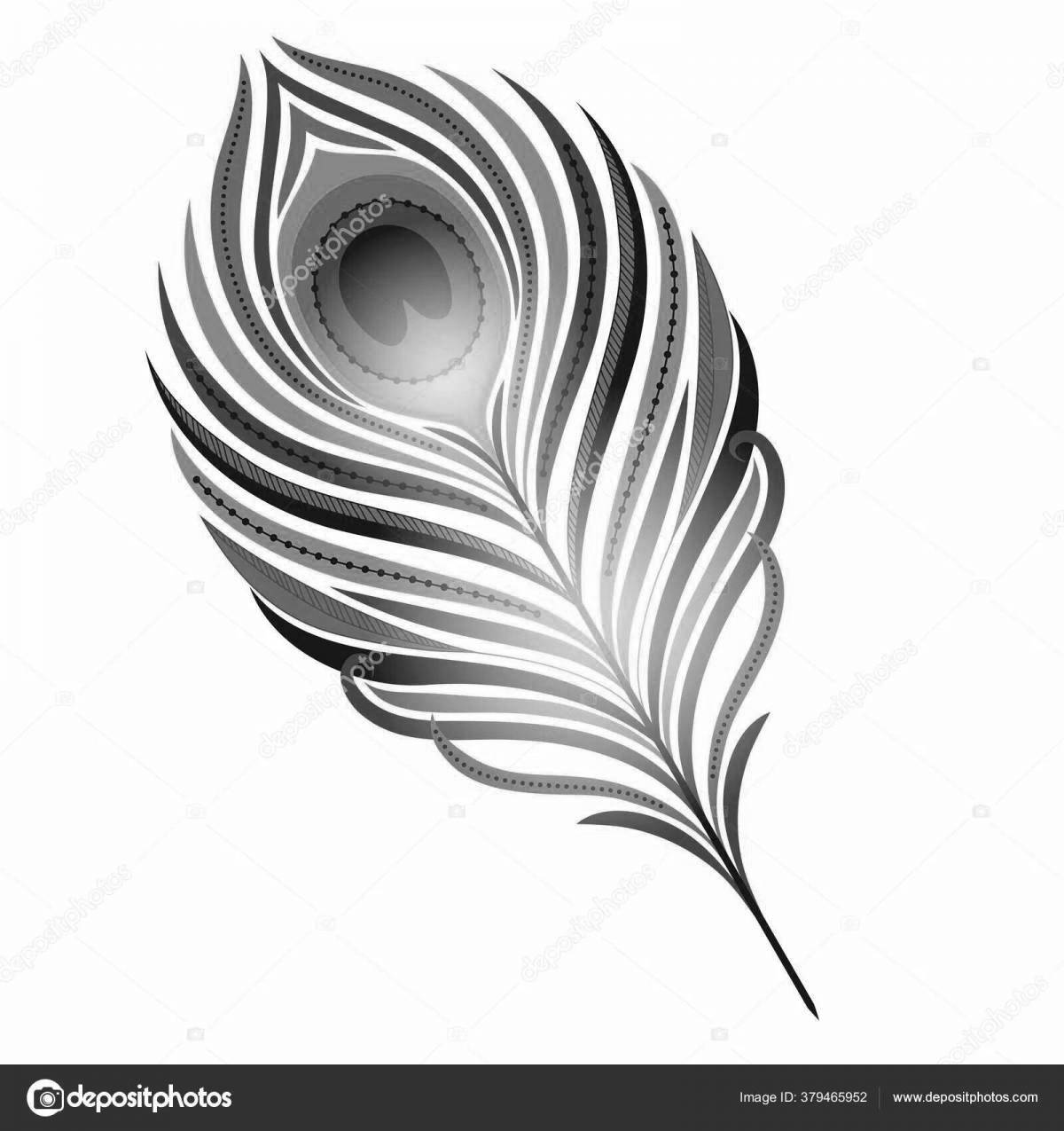 Peacock feather coloring page for kids
