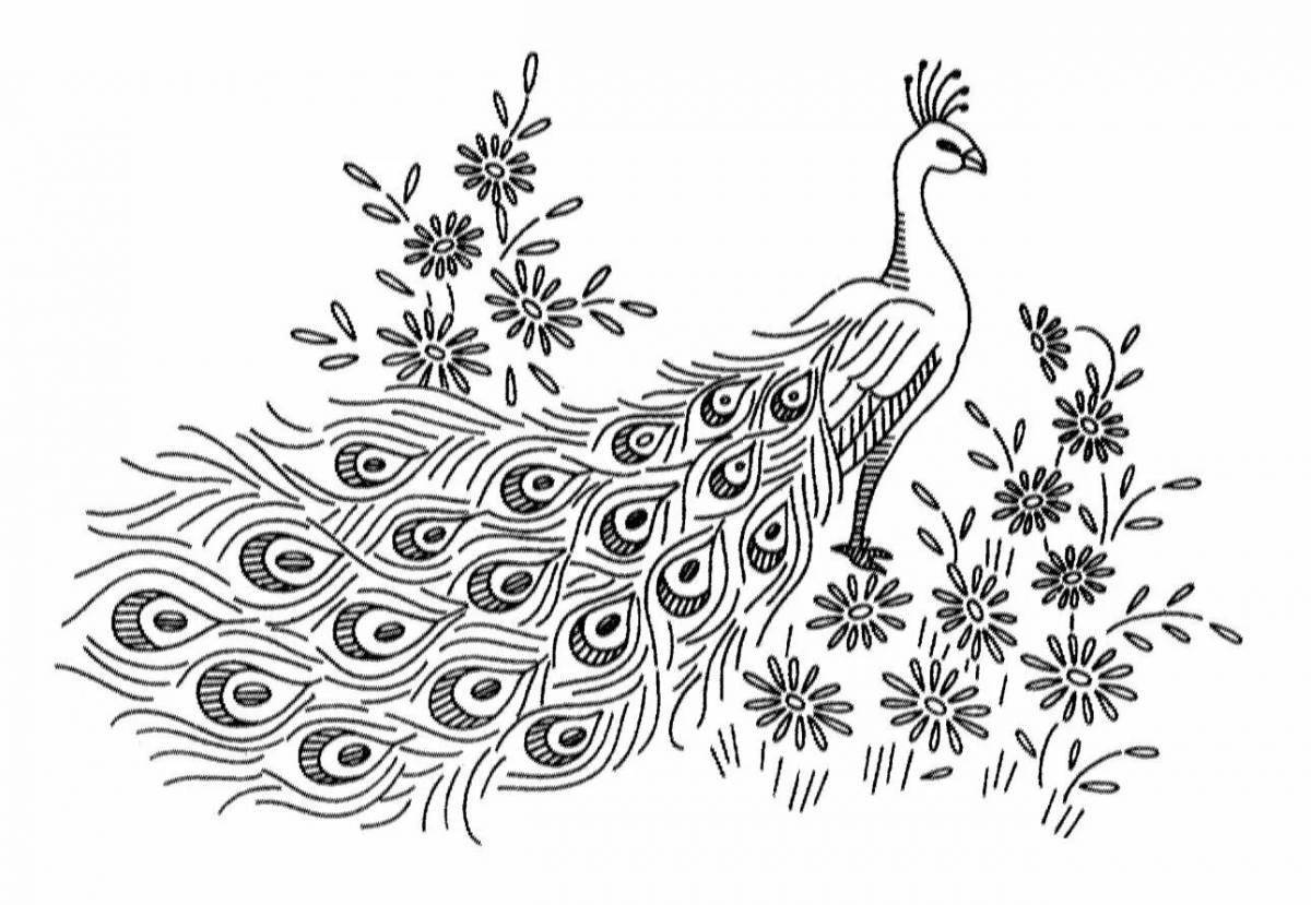 Fancy peacock feathers coloring pages for kids