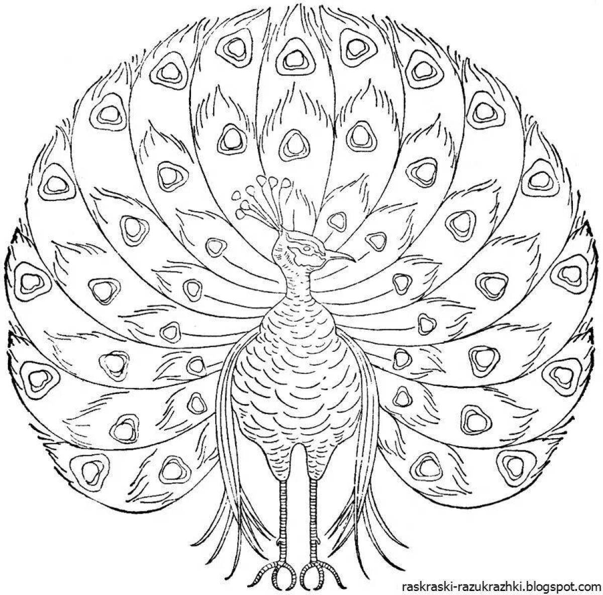 Adorable peacock feathers coloring pages for kids
