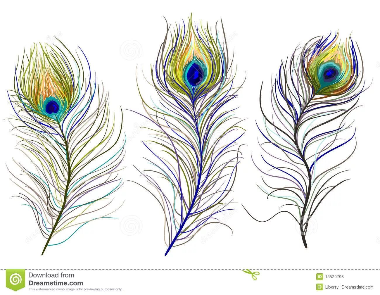 Раскраска блестящие павлиньи перья для детей