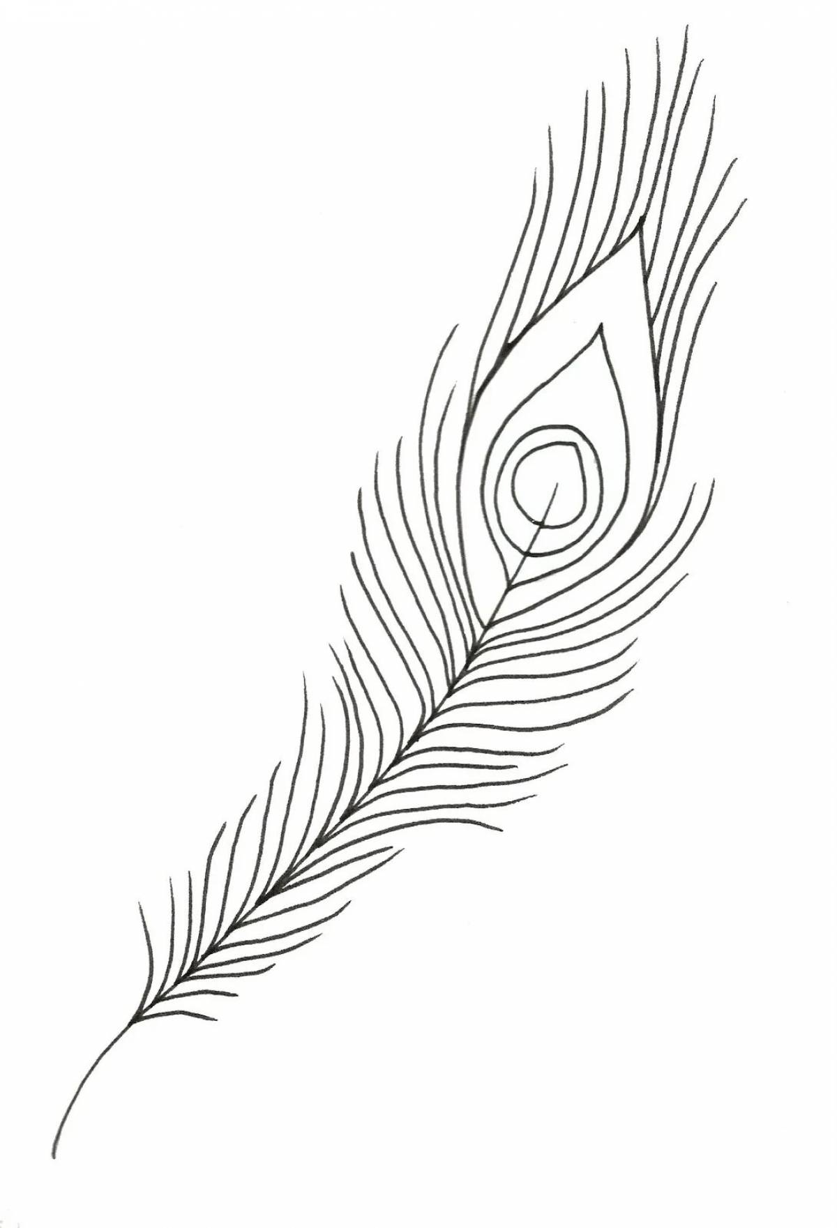 Перо павлина рисунок Peacock feather drawing