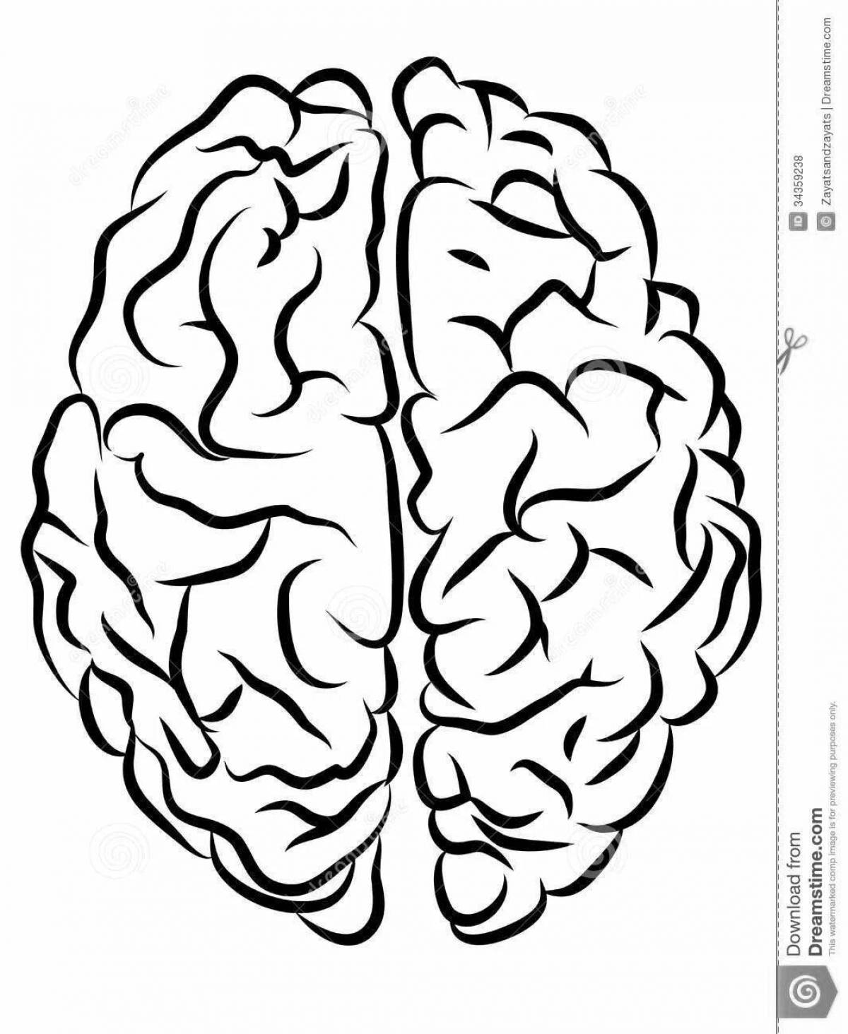 A fun coloring of the human brain for children