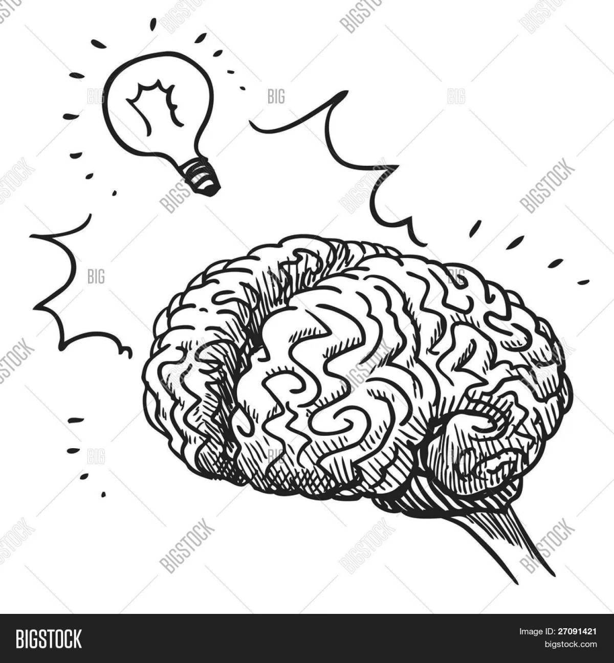 Мозг человека для детей #1