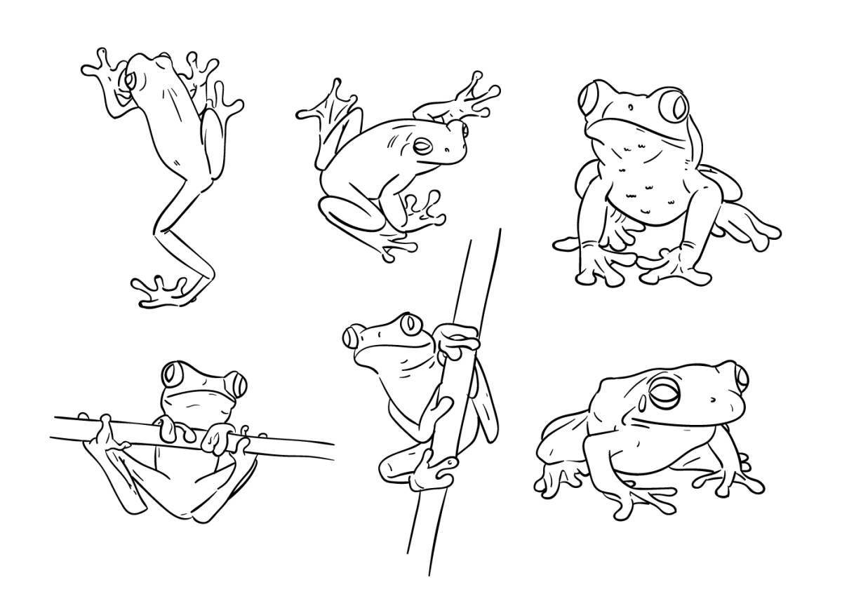 Fancy cute frog coloring book